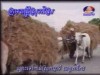 2012-01-01 : BayonTV Countryside Music
