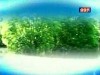 2012-01-01 : TVK Arun Soursdey Morning Show