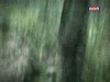 2012-01-10 : TVK Daily News