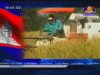 2012-01-23 : BayonTV Daily News